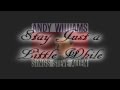 Andy Williams ~ Stay Just a Little While