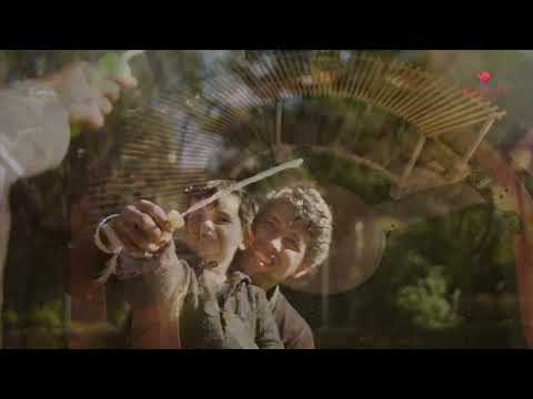 Walkthrough Walkthrough