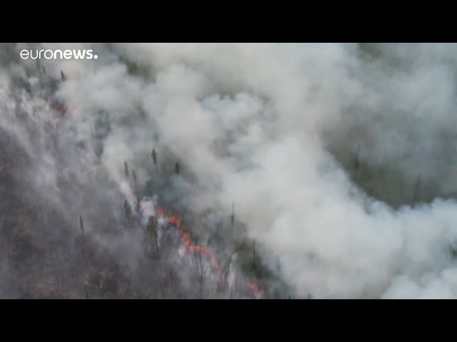 Ангарск затянуло дымом