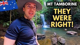 They Told Us To Come Here! Mount Tamborine - (Cedar Creek & Curtis Falls) | Queensland, Australia 🇦🇺