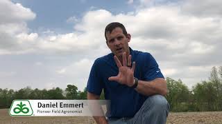 Proper Corn Planting Depth Explained
