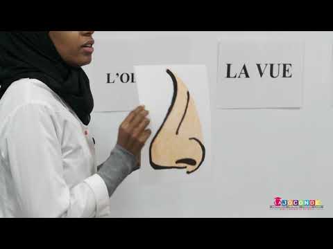 MS   explorer le monde   les cinq sens MAJUSCULE SCHOOL ACADEMY