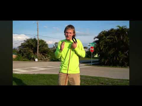 Cussing dog reupload (Jimmy Rowe and Seth Meyers _ Florida)