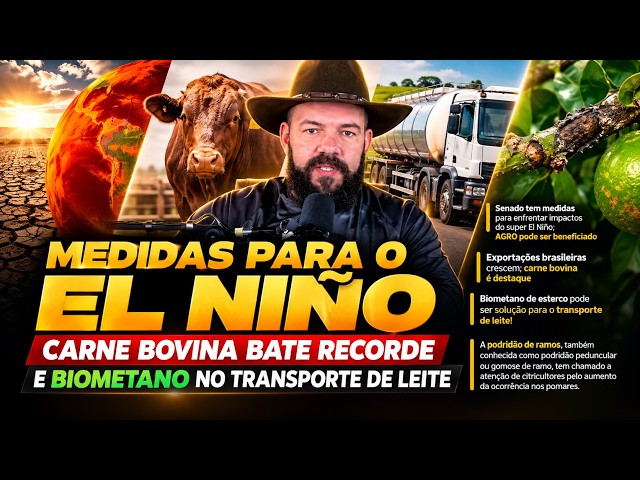 Medidas Para o El Niño; Carne Bovina Bate Recorde e Biometano no Transporte de Leite.