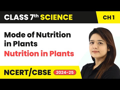 Class 7 Science Book Overview and Complete Strategy CBSE NCERT 2024 25