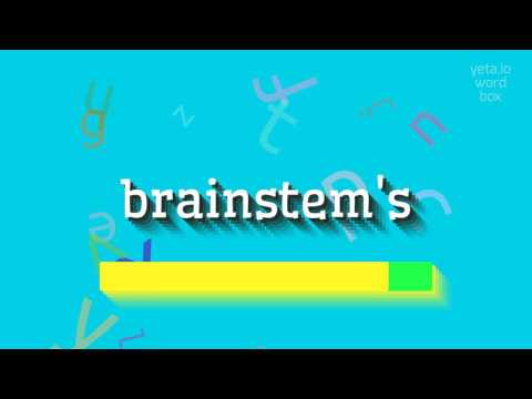 BRAINSTEM'S - HOW TO PRONOUNCE BRAINSTEM'S?