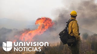 Por aire y tierra, cientos de bomberos tratan de controlar los incendios en California