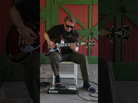 Kurt Rosenwinkel demonstrates the expansive reverb on Cosmosis with a @DAngelicoNY Premier SS.