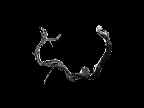 Rey&Kjavik - Chandni (Official Video)