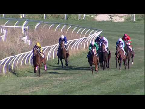 Napoli Galoppo 18/12/2022 - 2ª corsa