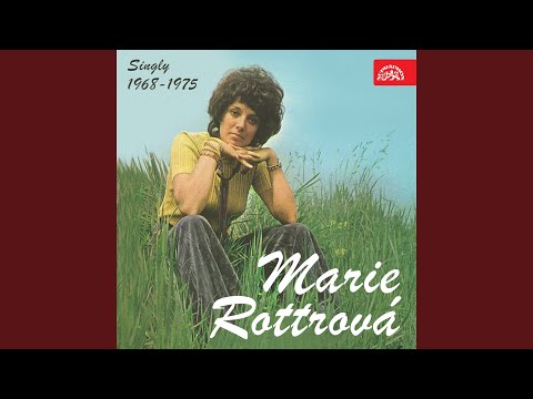 Namaluj můj svět (Chocz, pomaluj moj swiat, feat. Petr Němec)