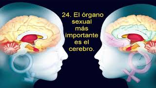 Los postulados de Regina Brett