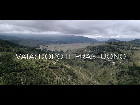 VAIA: DOPO IL FRASTUONO | Come la tempesta ha cambiato l'Altopiano