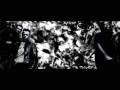 The Prodigy - Mindfields.wmv 