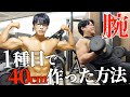 腕周り40cm超えを作った、たった一種目の腕トレを詳しく紹介します