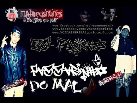 GS FUNÇÃO - PASSARINHO (LANÇAMENTO 2013)