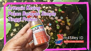 Download lagu Pakan Burayak Super dari Artemia Kering Tinggi Protein || Polar Red mp3 Download lagu Pakan Burayak Super dari Artemia Kering Tinggi Protein || Polar Red mp3