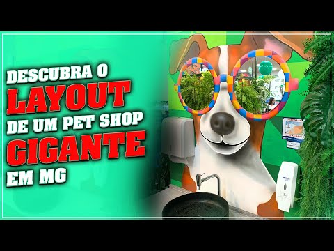 Descubra o Layout de um Pet Shop Gigante em Minas Gerais | Ricardo de Oliveira