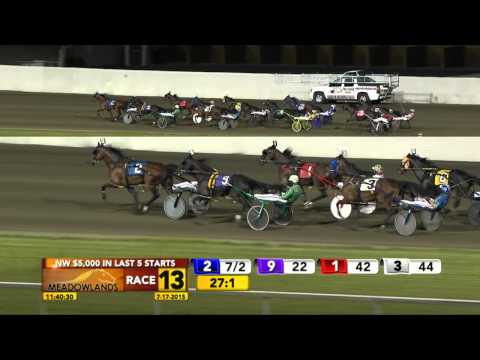 Meadowlands July 17, 2015 - Race 13 - Americhi