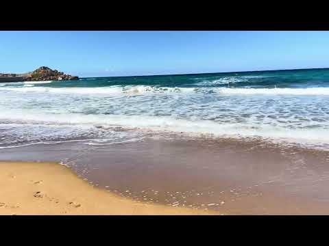 Sea#FlowerMagic #TravelJoy #GironaAdventures #HappinessVibes #WealthEnergy #GoodVibesOnly 