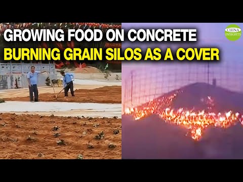 Amid food crisis, China launches Great Leap Forward in grain production/Growing food on concrete...
