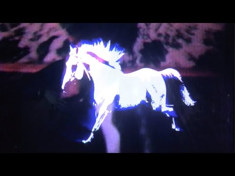 Video thumbnail for Magic Moment