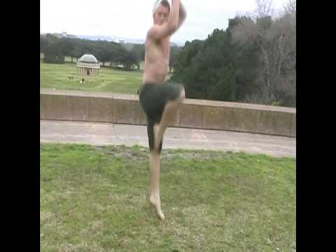 Tai Chi Martial Art Forms - Part 1 (Human Evolution)