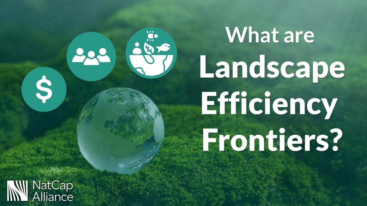 What are Landscape Efficiency Frontiers? | Modeling sustainable development for people and planet