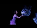 Alice And The Cheshire Cat Alice S Adventures In Wonderland