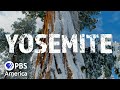 Yosemite The Great Wilderness 2017 Full Documentary