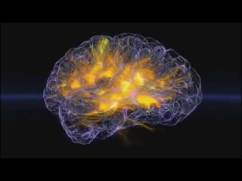 Brainwaves in real time