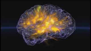 Brainwaves in real time