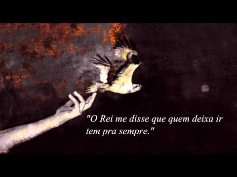 Um Rei e o Zé - Apanhador Só