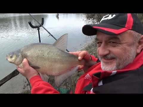 FEEDEROM na "majci" Savi! Ribolov deverika, mrena i plotica na Savi u Bukevju.