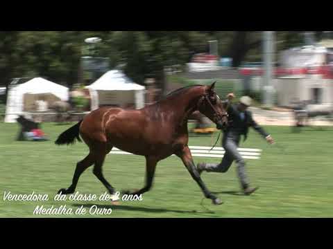 " Bonita " PSL ( Isobata & Quixote )