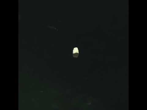 YouTube 썸네일