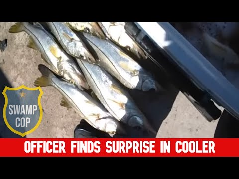 Officer finds surprise in cooler!!!