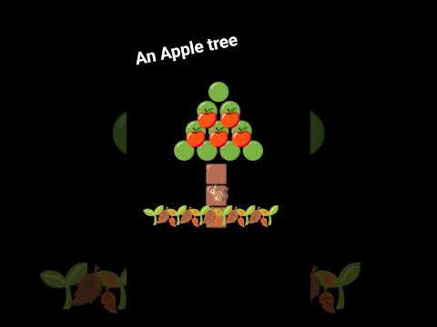 an Apple tree😮😊