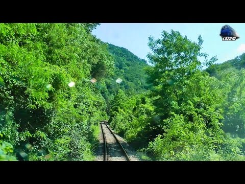EGM621 Cabview/Führerstandsmitfahrt in Munții Apuseni Mountains [Spring Edition]