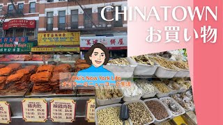 謎のChinatownお買い物 ここは本当にニューヨーク⁈ 【ニューヨーク生活】チャイナタウン買い出しVlog