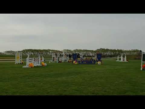 Jethro Tull G 2014 breeding stallion