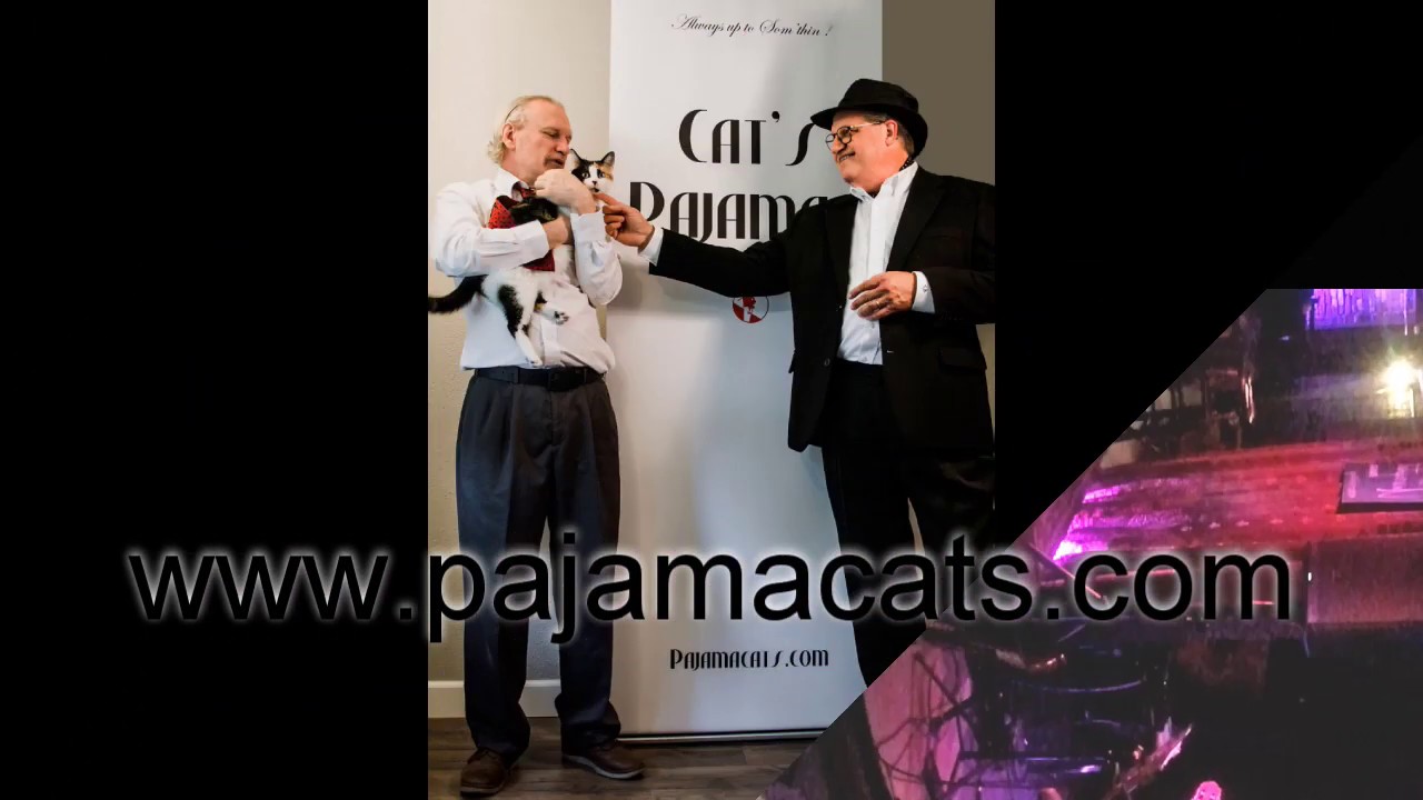 Promotional video thumbnail 4 for Cat's Pajamas