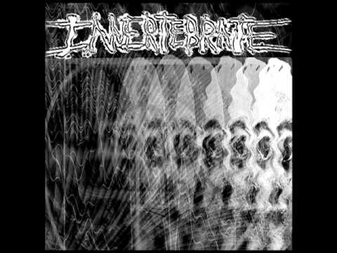 Invertebrate - s/t [2016]