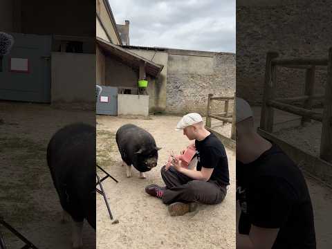 When he starts singing 🥹