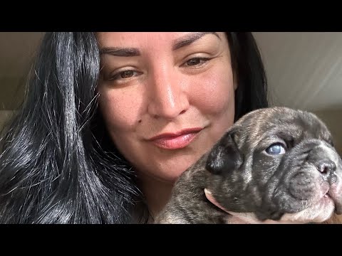 Bulky BUILT’s REVERSE HAREM 🎀🏆💄