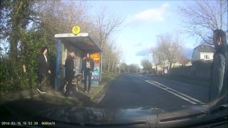 Accident between dog and car, Lucan 2014