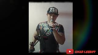 Download lagu Angga Candra - Bintang Terindah cover by Char LeeBoy mp3 Download lagu Angga Candra - Bintang Terindah cover by Char LeeBoy mp3