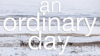 An Ordinary Day