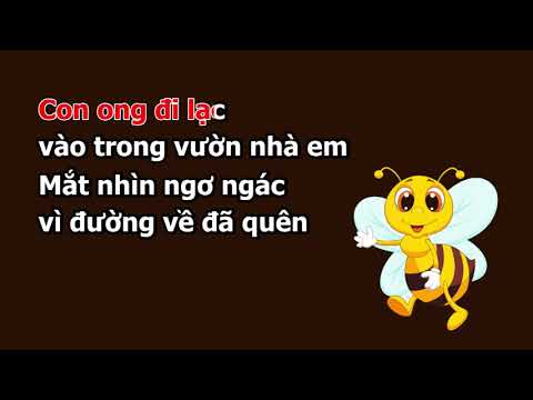 Con ong đi lạc - Thi Hạnh