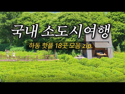 비디오 6